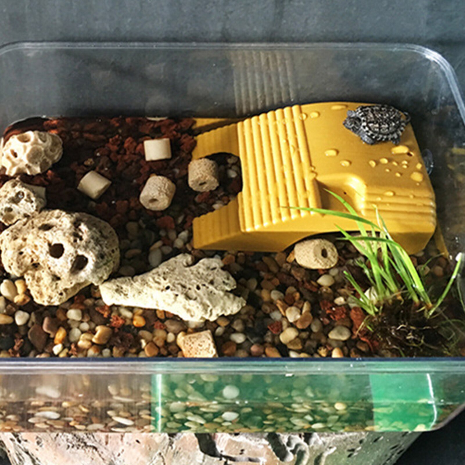 Floating Platform Muti-Purpose Double Track Climbing ABS Climbing Tortoise Platform for Turtle