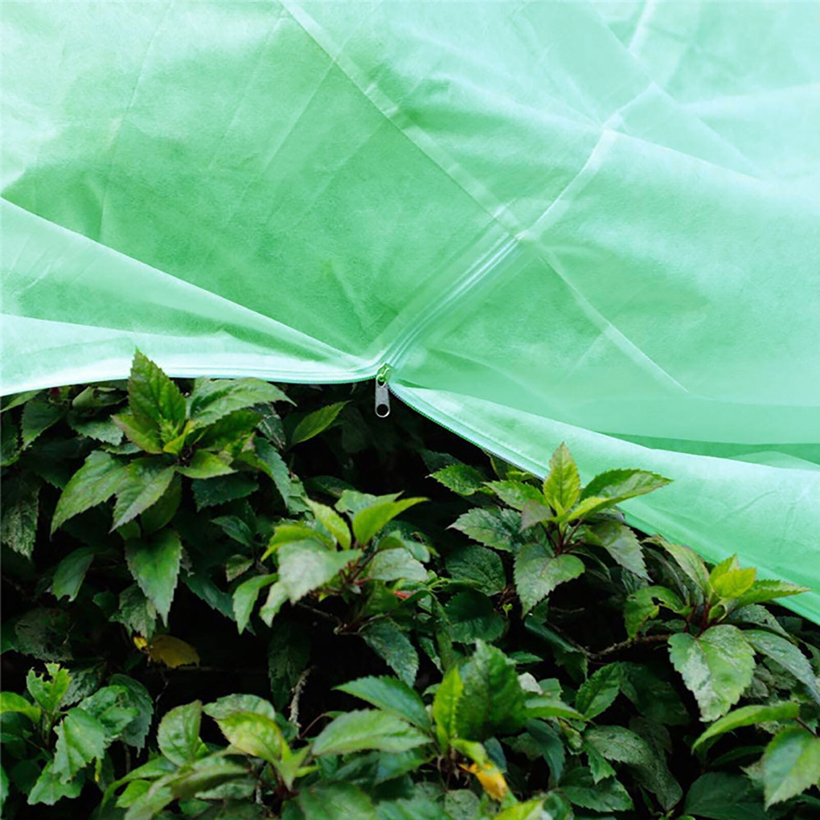 Warm Plant Cover Antifreeze Shields Protect Your Plants From Frostbite Winter Garden Proteccion Plant Cover