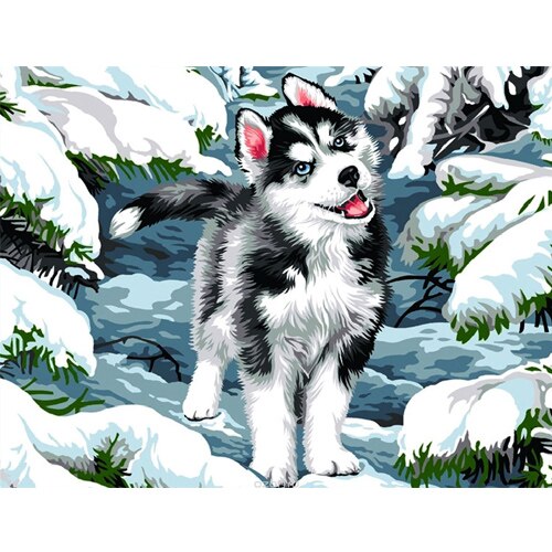 Cuadros DIY pinturas por números perro DIY pintura al óleo en lienzo decoración del hogar arte de la pared: RSB8121