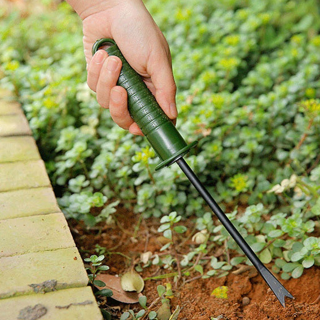 Jardinage Succulent plantation outils quatre pièces ensemble jardin pelle fourche râteau jardin planteur Kit Succulent plantation bricolage outil # YL10