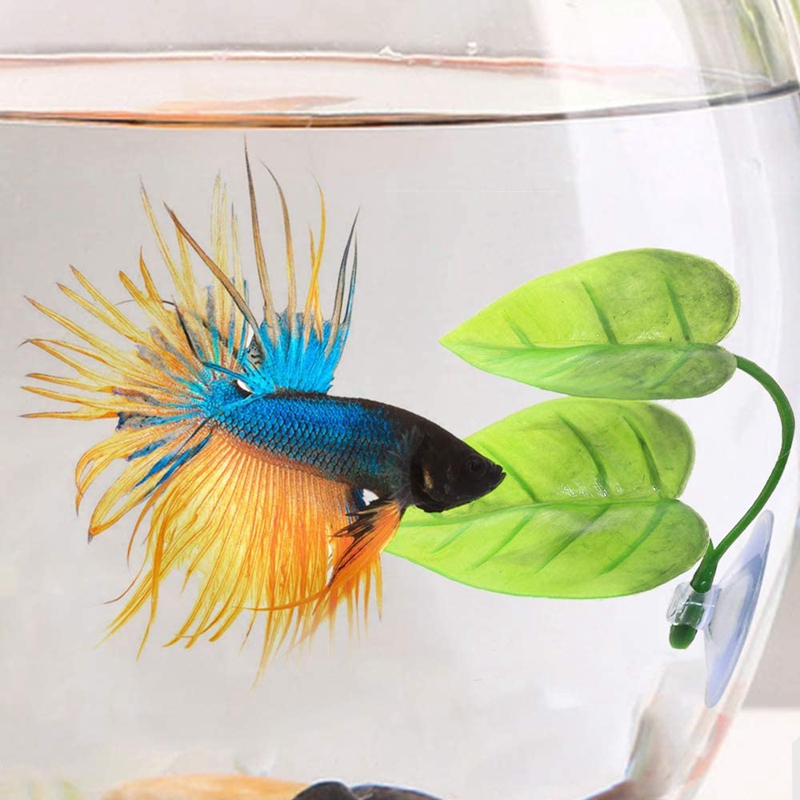 -6 stykker betta hængekøje legetøj, akvarie plast fabrik til betta habitat tilbehør
