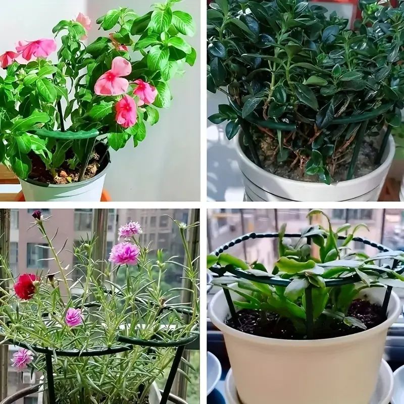 Piquets de Support pour plantes, treillis demi-cercle pour plantes en pot, bonsaï, Support de fleurs de vigne, Clips à tige fixe, outils de jardinage, 6 à 36 pièces