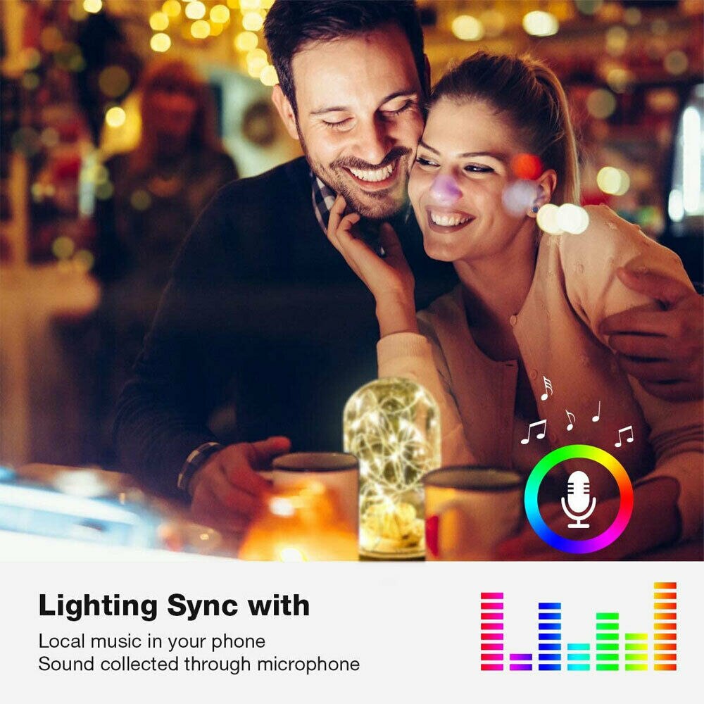 5M 10M 15M 20M RGB LED String Lights Smart USB Fairy Light With APP Control Diode Flexible Ribbon WiFi Controller