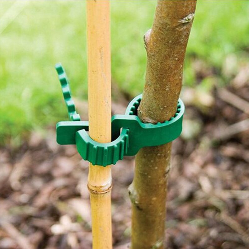 20pcs 240mm Reusable Gardening Tree Tie Belt Vine Climbing Plants Fixed Buckle Bracket Cable Tie Tree Trunk Plastic Bandage