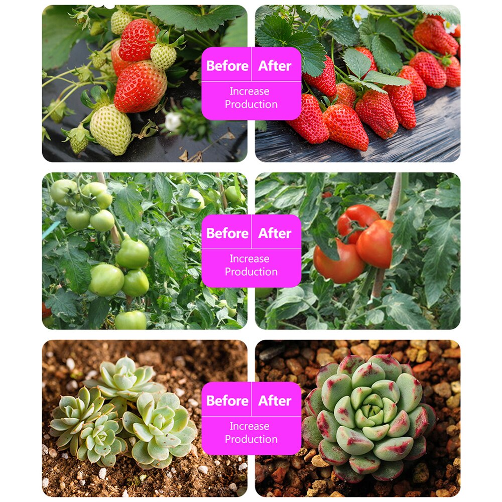 Solar Panel Light Farmhouse Grow Light 5W Solar Panel Flexible Waterproof 0.5/1/2/3/5M Solar Power Lamp Beads Light Spectrum