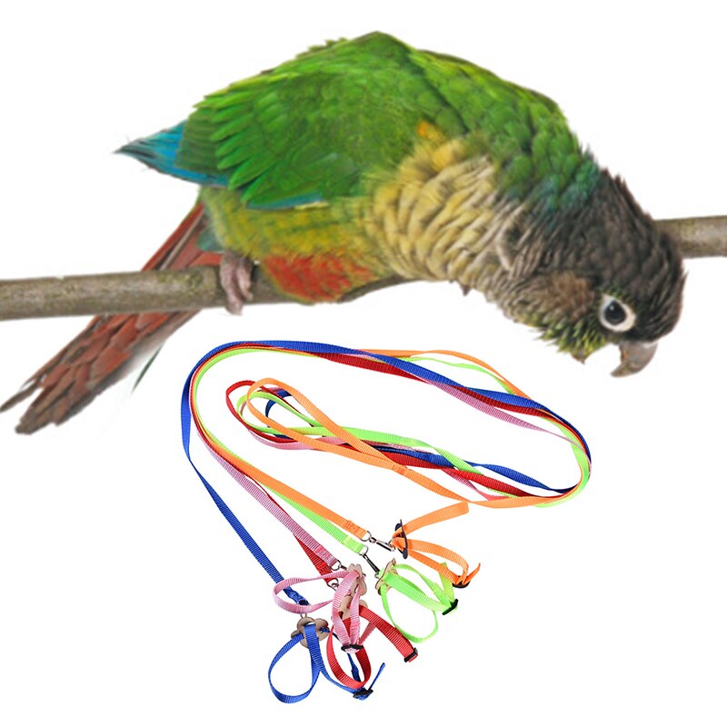 Justerbar papegøje fugl sele snor anti-bid træning reb udendørs flyvende sele snor kæledyr trækkrem til hamster firben