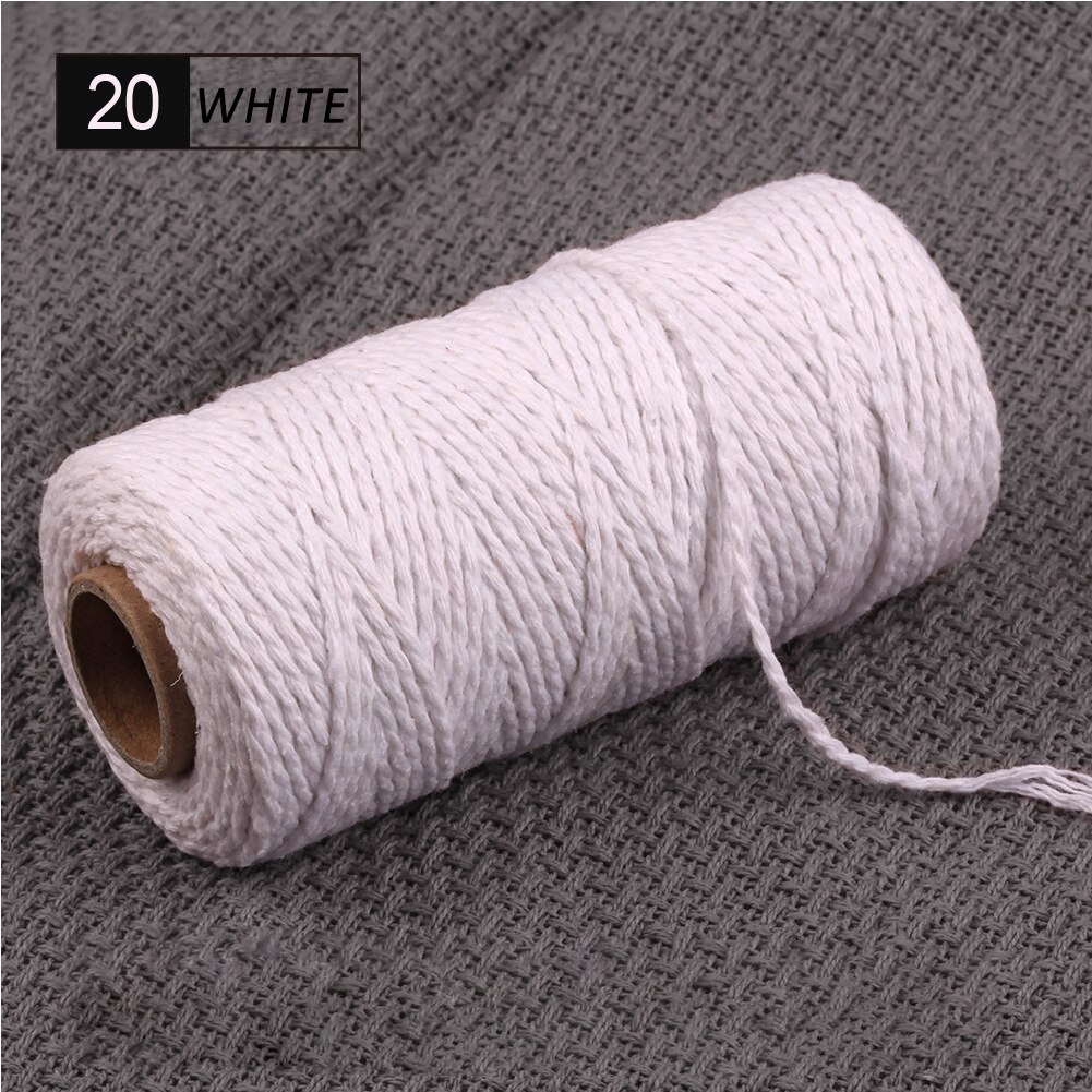 2mm 100M Colorful Thread Cord 100% Cotton Twisted Craft Macrame String DIY Home Textile Wedding Decoration Accessories: 20