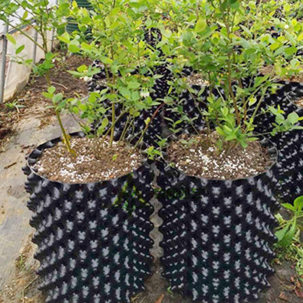 Plante rod træner hurtig rod vokse container luftbeskæring have træ bonsai transplantation værktøj hydroponisk plante rod kontrol pod
