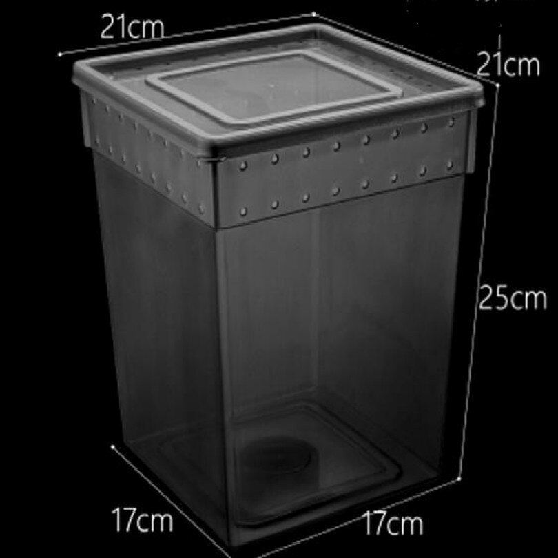pet Feeding box Spider house frog farm insect turtles snake boxes reptiles workshop taller With air hole white black: F