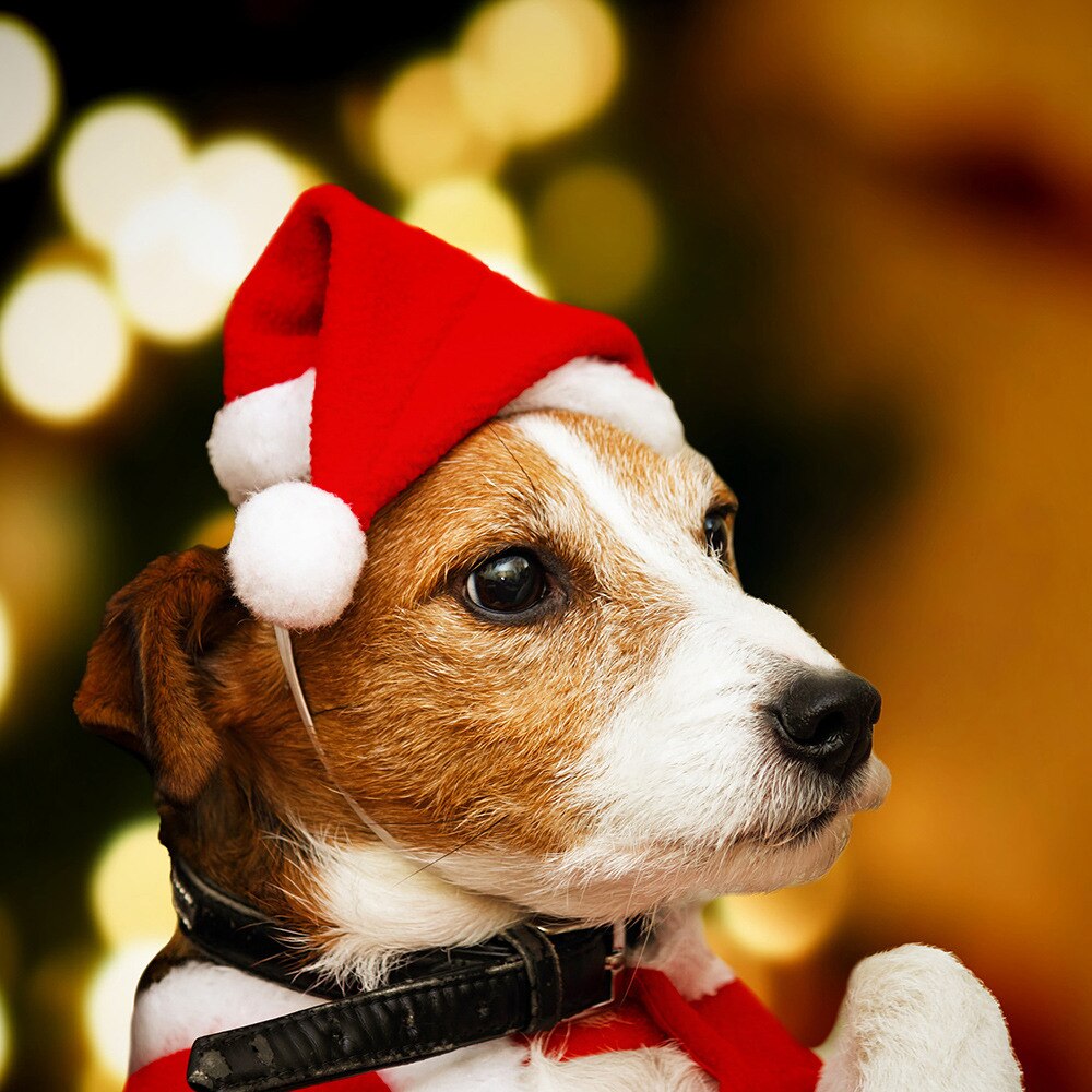 Kerst Huisdier Hoed Kerstman Puppy Kat Hond Kostuum Hoed Geladen met Kerst Schattige Huisdieren Levert Accessoires