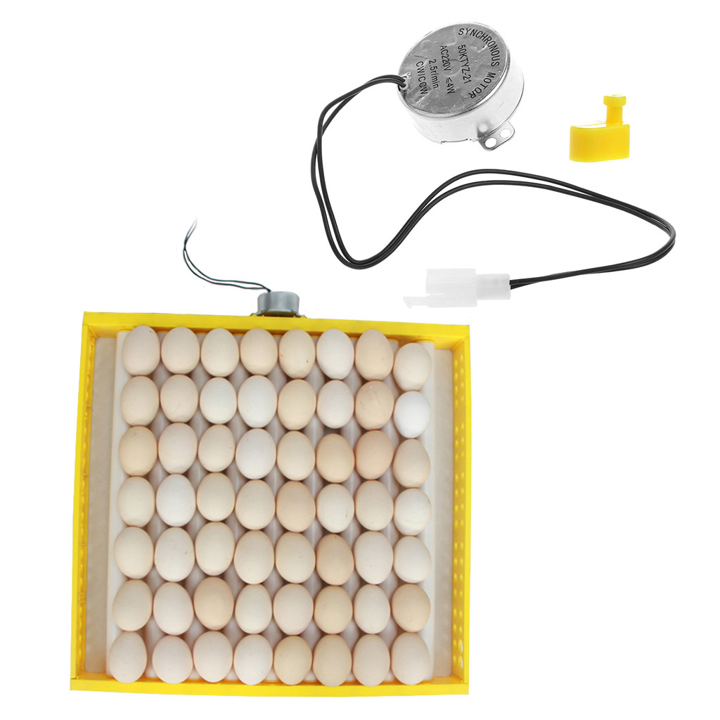220v ac æg automatisk inkubator til gårdæg broedmachine mini æg kylling and vagtler klækker due fugle inkubator brooder  g1