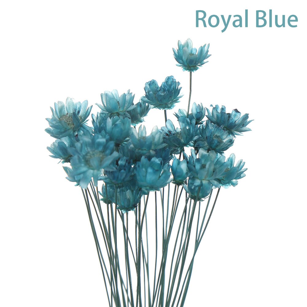 Tiardey 200 stuks gedroogde natuurlijke gedroogde bloemen, kleurrijk, voor het maken van sieraden, kaarsen, kaarten, harsdecoraties Tiardey 200 stuks gedroogde natuurlijke gedroogde bloemen, kleurrijk, voor het maken van sieraden, kaarsen, kaarten, harsdecoraties