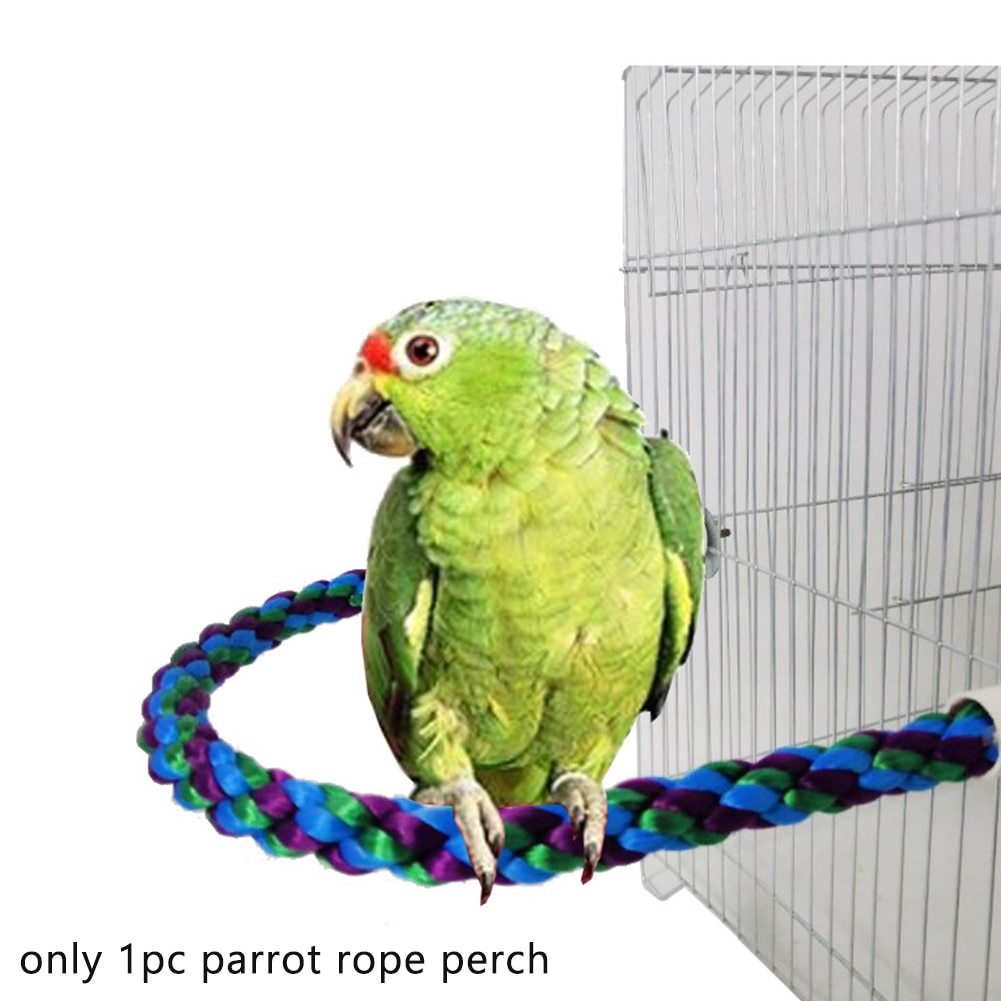 View of Chewing Rope Perch Bird Climbing Braided Parrot To... – Vicedeal