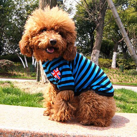 Striped Dog Clothes Summer Pet Vest For Dogs Costume Chihuahua Yorkshire Pet Dresses Cotton Dog Vest Shirt Puppy Pets Clothing: 02 / M