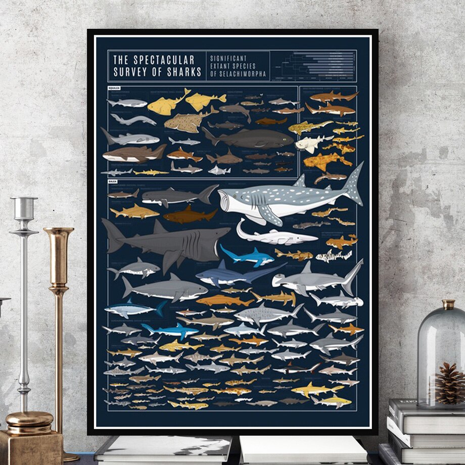 Hjemme dekorasjon maleri haier dyr diagram vegg kunst modulære moderne nordisk stil plakat plakat kraftpapir: 21 x 30cm uten ramme