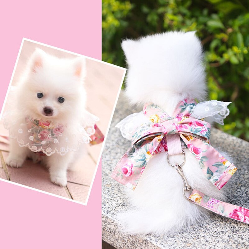 Mooie Huisdier Kraag Cat Clothes Leash Producten Pommeren Borst Harnas Hondenlijn Huisdieren Accessoires Voor Katten Teddy Puppies
