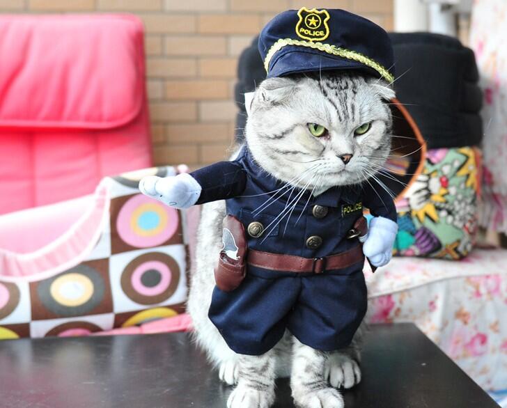 Police style Dog Cat Funny Party costume dog jumpsuits Pet Dog Clothes role play Pet dog apparel
