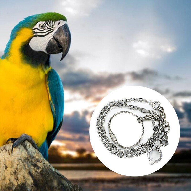 Papegaai Been Ring Enkel Voet Chain Vogel Ring Outdoor Vliegende Training Vogel Benodigdheden Activiteit Openen Stand Accessoires