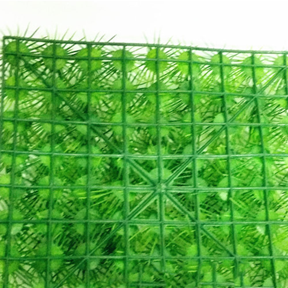 Aquarium Plant Fijne Dennennaald Gazon Groeiende Aquarium Water Plant Gras Zaad Aquarium Gazon Decor