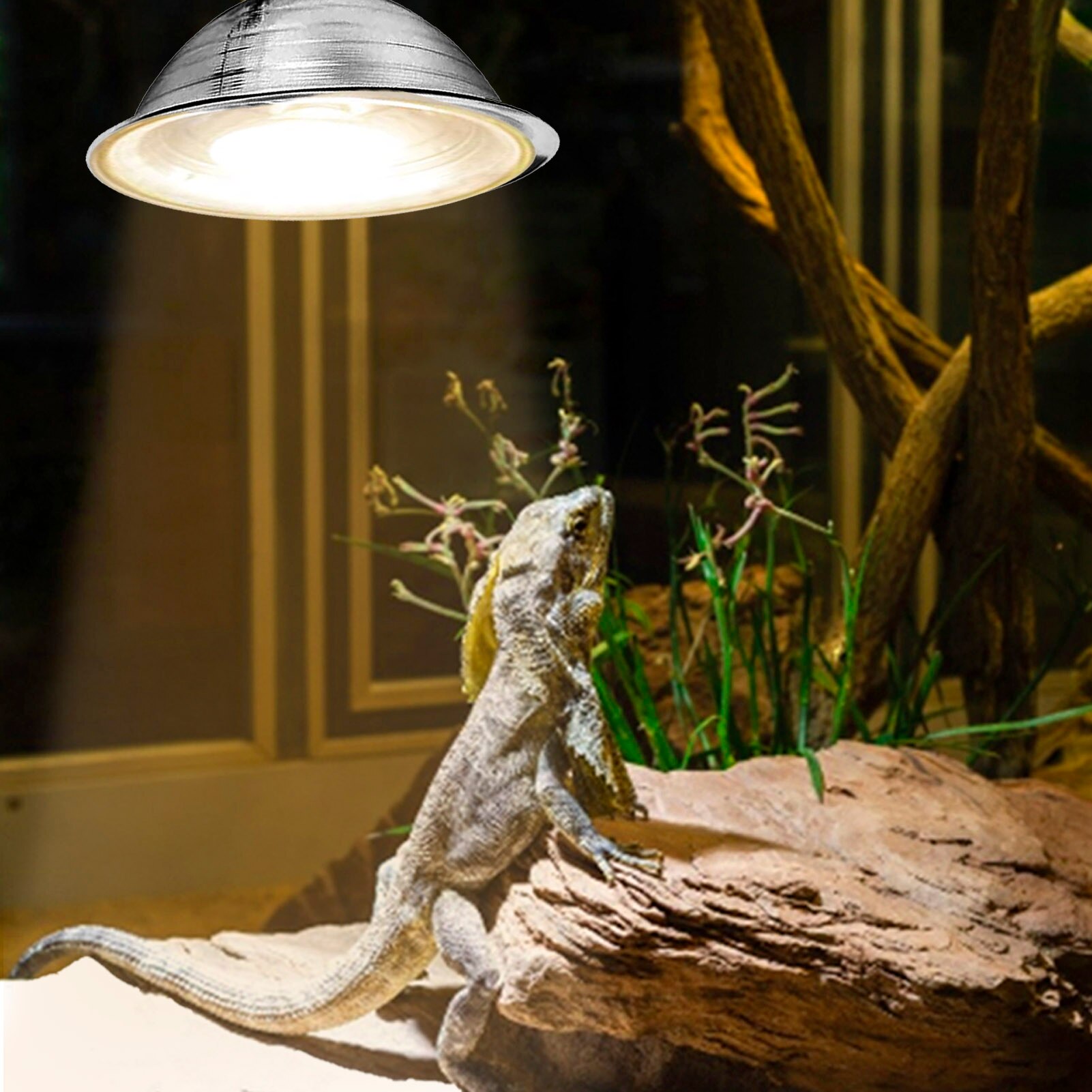 Lampe à pince avec réflecteur en aluminium de 8.5 pouces, lampe de croissance pour Garage, récipient en verre Pet, lampes chauffantes pour photographie, travail,