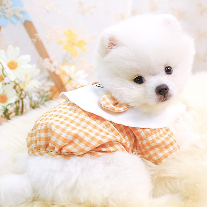 Sommar katt hund skjorta valp yorkshire yorkie kostym liten hund kläder t-shirt pomeranian pudel bichon schnauzer sällskapsdjur päls
