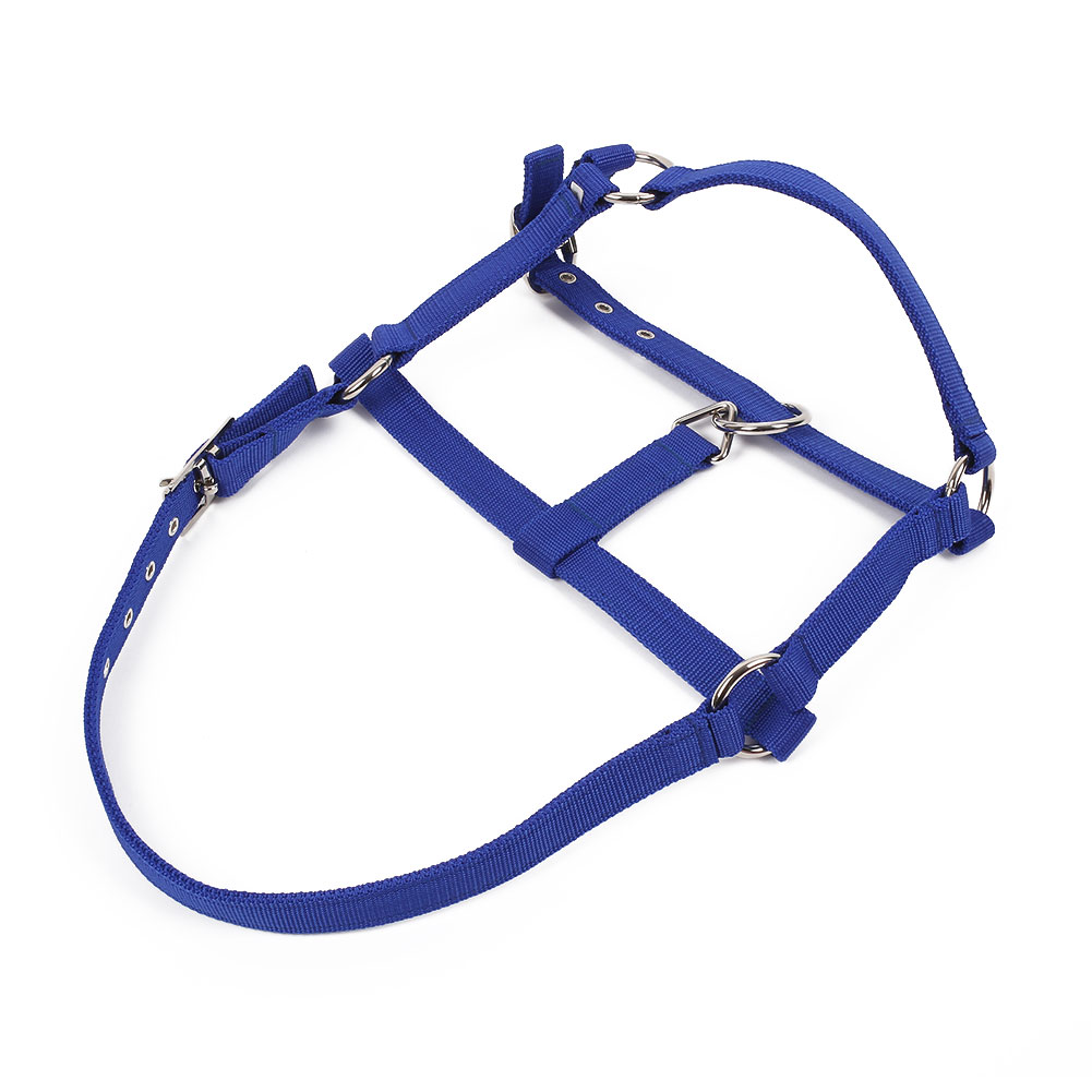Horse Riding Belt Bridle Adjustable Halter Headstall Horsing Accessory Red/Blue: Blue S