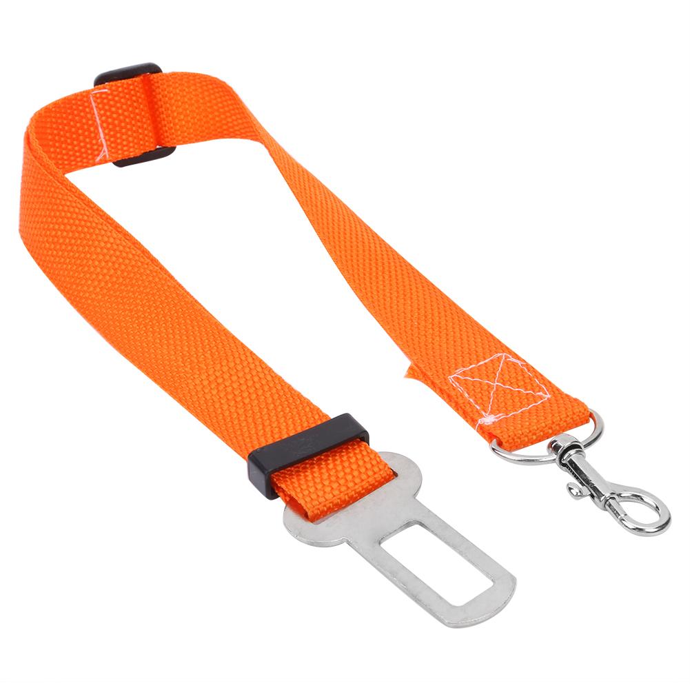 Heldere Halsband Kat Leash Pet Autogordel Verstelbare Hond Harnas Lead Leash Voor Small Medium Hond Accessoires Huisdier product: 01 Orange