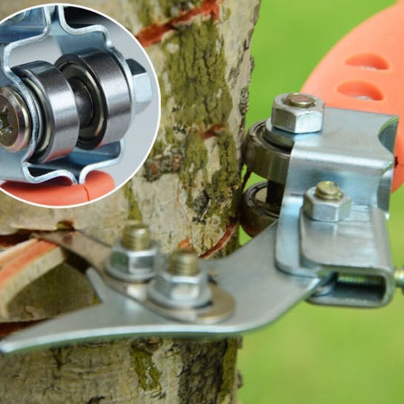 D55F – coupe-anneaux pour arbres fruitiers, 20.5cm, pour pommier, pamplemousse, Orange