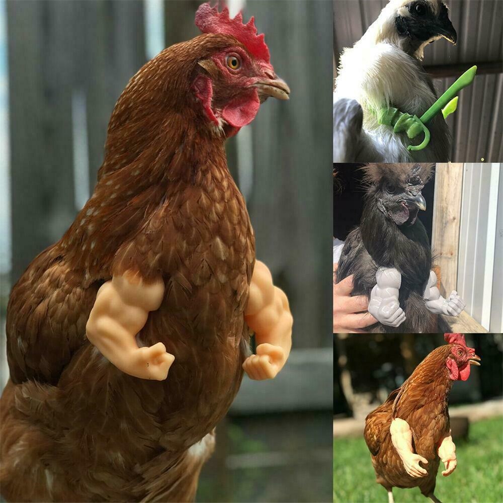 Bras de poulet musclé, Gag, bras de poulet à porter,