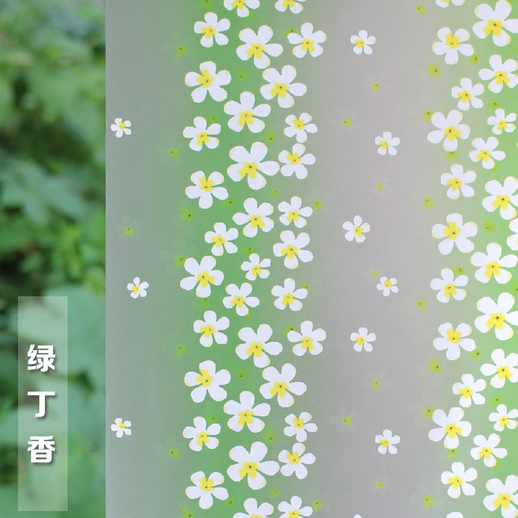 Film autocollant en verre Opaque givré | Étiquette en verre adhésif, couleur mixte, pour fenêtre, intimité, large, 80cm x Long, 200cm, décor à la maison, chambre à coucher: g