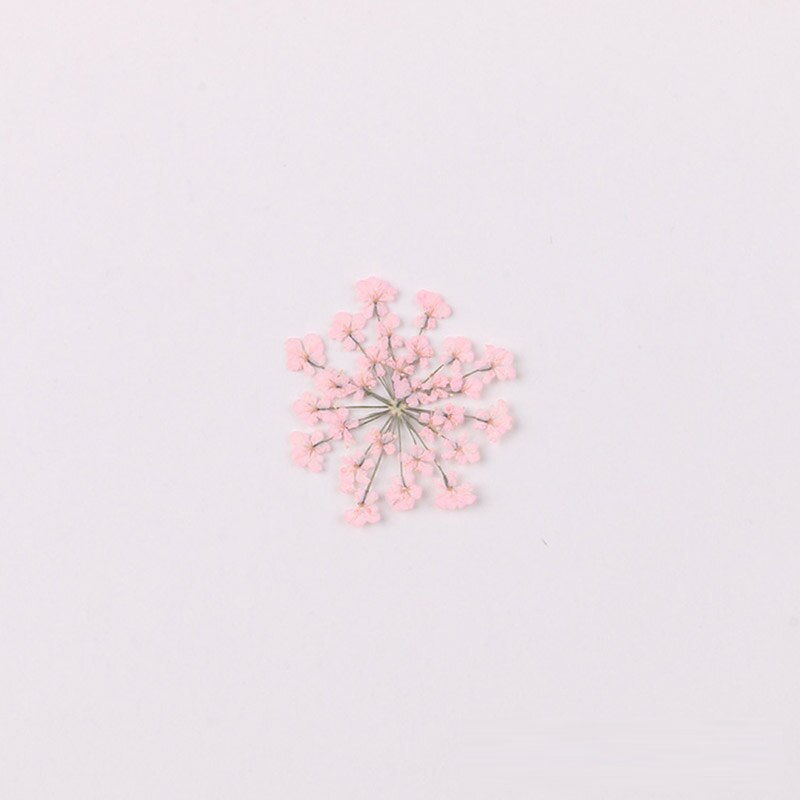 100 stk / pose vintergæk blomst naturlig tørret blomst presset blomst manicure tørret blomst dryp lim mobiltelefon cover gør det selv materiale: 2