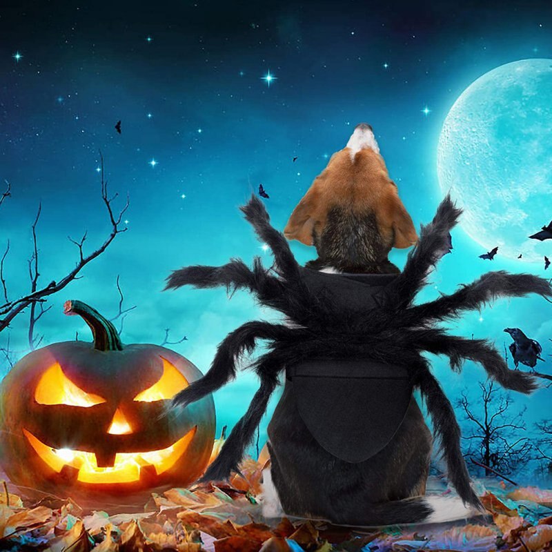 Disfraz de perro o gato de Halloween, disfraz de simulación de araña gigante, disfraz de Mascota, disfraz de Halloween, accesorio para mascotas, decoración para perros