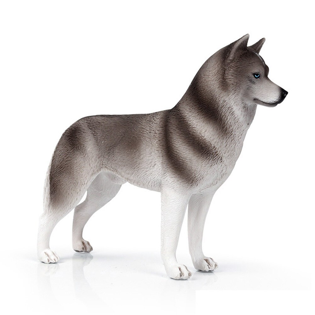 Simulazione cane Husky plastica modello animale Desktop ornamento Decor giocattolo per bambini modello animale figure figurine per giocattoli per bambini: Grey