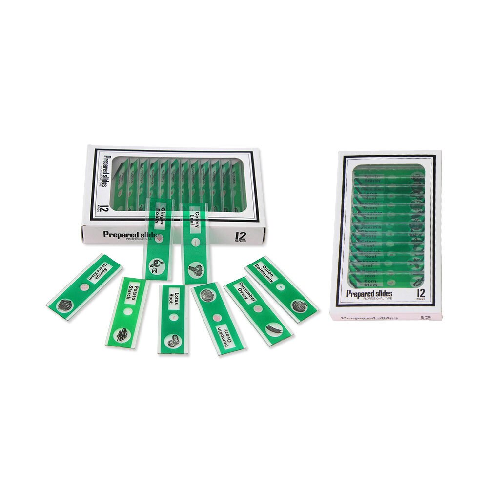 Biologie Onderwijs Apparatuur Kinderen Hoge Permeabiliteit Plastic Specimen Microscoop Met 12 Bloem Plakjes: Transparant