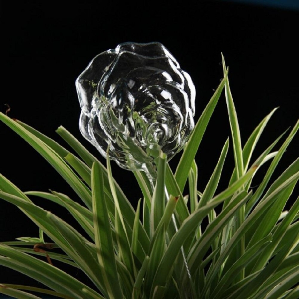 Alimentador automático de agua para plantas y flores, dispositivos de autorriego, alimentador de agua de vidrio transparente, forma de pájaro, 6 formas: rose