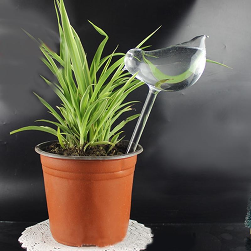 Selbst Bewässerung Globus Anlage Wasser Lampen Vogel bilden Klar Glas Bewässerung Gerät
