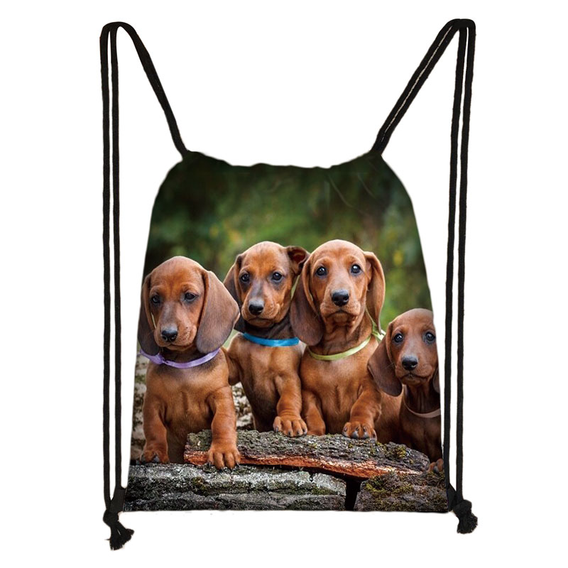 Schattige Teckel Hond Tasje Vrouwen Mannen Opbergtas Voor Reizen Tiener Jongens Meisjes Rugzak Partij Boodschappentassen: skdlapigous11