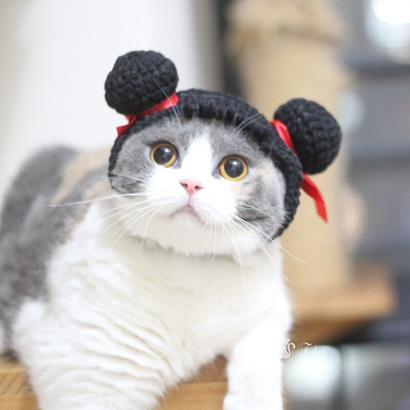 Ubranka dla kotów szczeniaczek kot śmieszne włosy kostium zimowy ciepły pluszowy kot kapelusz dla małych psów kotek odzież N62