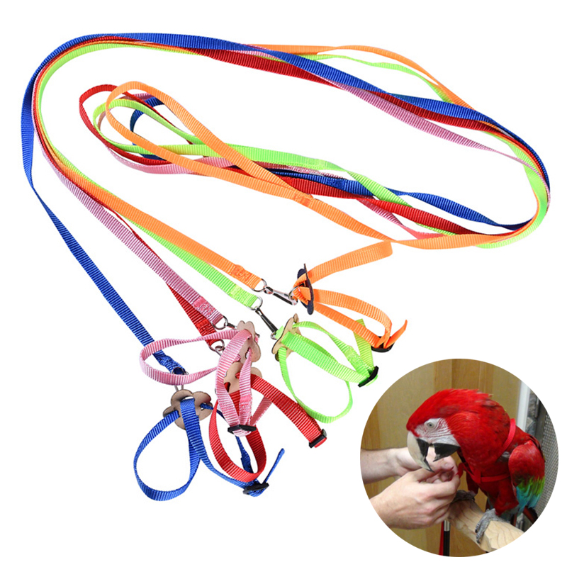 Harness And Leash For Birds Parrot Cockatiel Parakeet Conure Macaw Training Rope 5 Colors