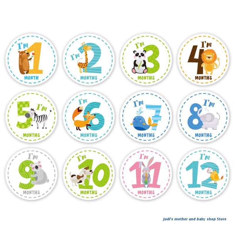 67JC 12 Baby Milestone Stickers Monthly Photo Picture Props For Boy or Girl Infant Onesie, 1st Year Months Belly Decal
