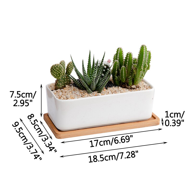 Succulents White Porcelain Flower Pots Round Rectangular Home Garden Refreshing Ceramic Pots Balcony Green Planting: A