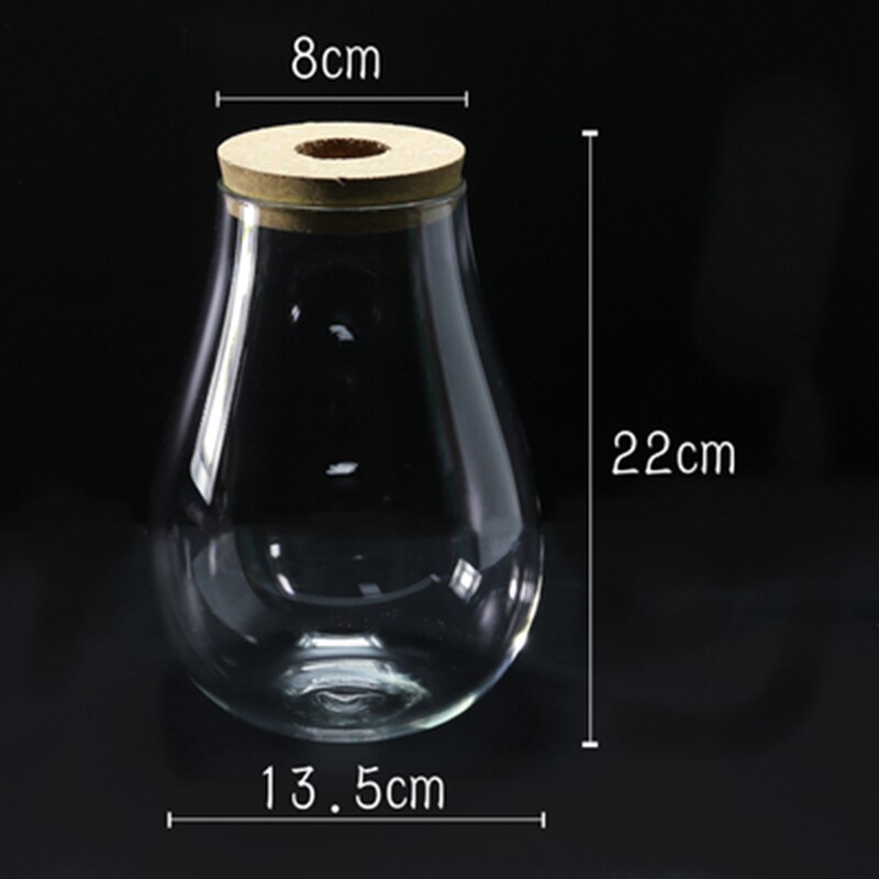 Botella ecológica de vidrio transparente con tapa para pecera, accesorios de acuario para paisajismo, Mini botella con pez: Size-2