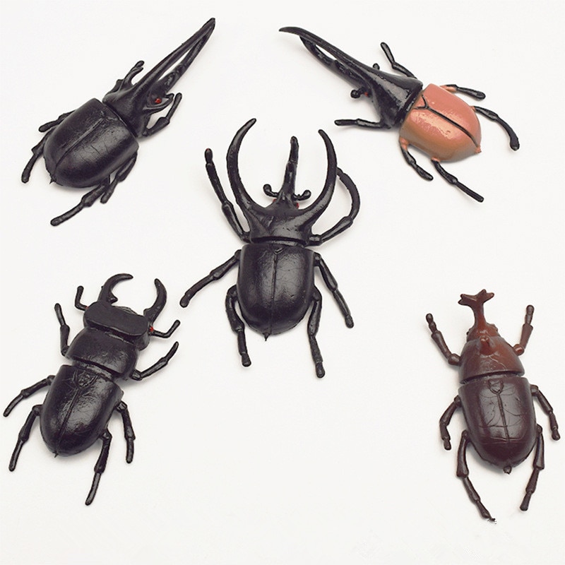 10 pièces/lot 5.5cm simulation scarabée jouets spécial réaliste modèle Simulation insecte jouet pépinière aides pédagogiques blague jouets