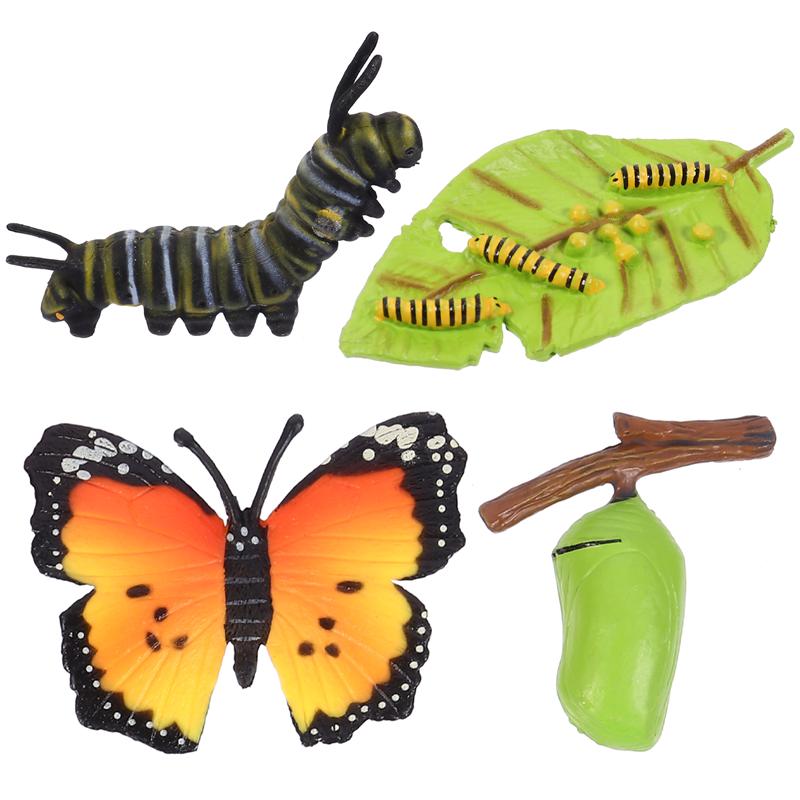 4pcs Funny Insect Life Cycle Figurines Butterflies Ornaments for Kids Playing