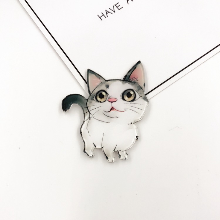 1Pcs Leuke Hond Cartoon Mode Broche Acryl Badge Kat Icoon Badge Pin Voor Kids Party Decoratie op Zak Kleding: Dull