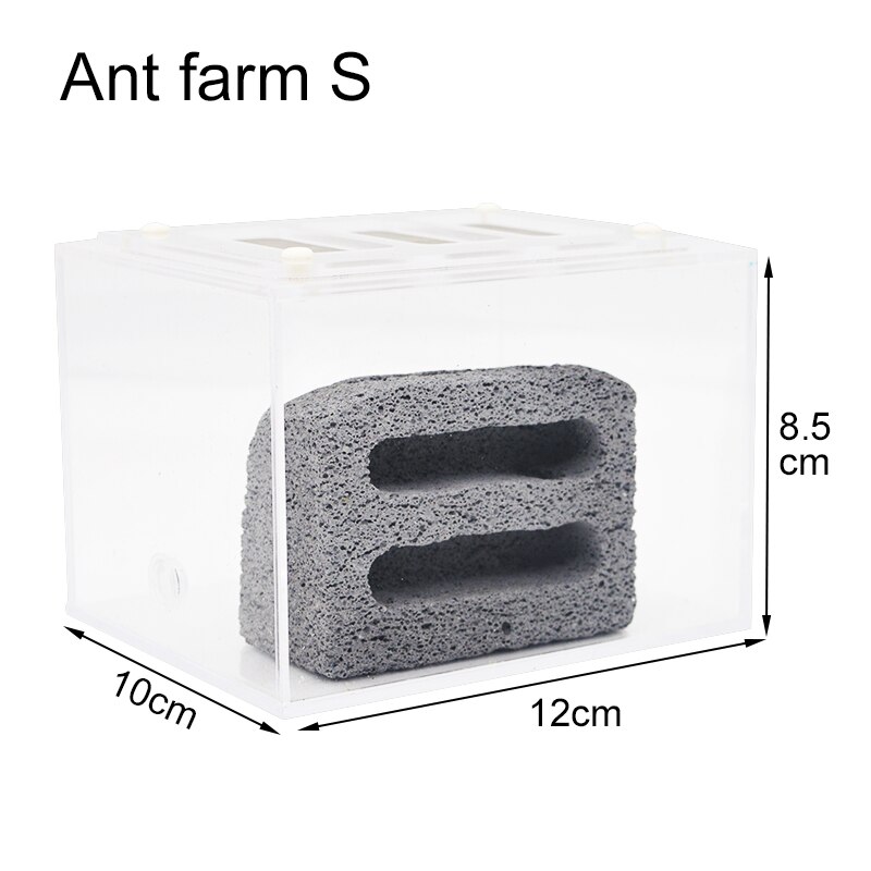 Fourmilière en acrylique pour fourmis, nid en béton respirant et hydratant avec zone d'alimentation, fourmilière, atelier pour animaux de compagnie, 26x15x15.5cm: ant farm S