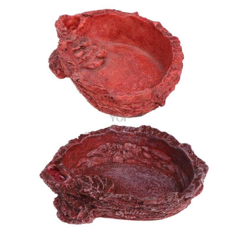 Reptile Food and Water Bowl for Pet Aquarium Ornam... – Grandado