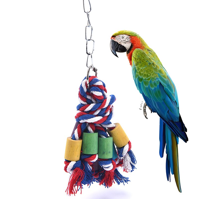 Bird Toys / Pet Bird Supplies: Pet Supplies - amazon.com