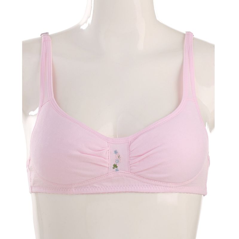 Jonge tienermeisjes katoenen geborduurde ademende trainingsbeha tienermeisjes ondergoed kind kleine bh tienertops kleding: Pakket -70