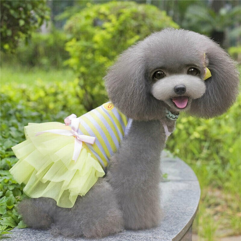 Letnie oddychające psy domowe spódnice Puppy modne koronki łączenie dekoracyjna kokarda mieszana kolor kamizelka w paski spódnice ubrania dla zwierząt